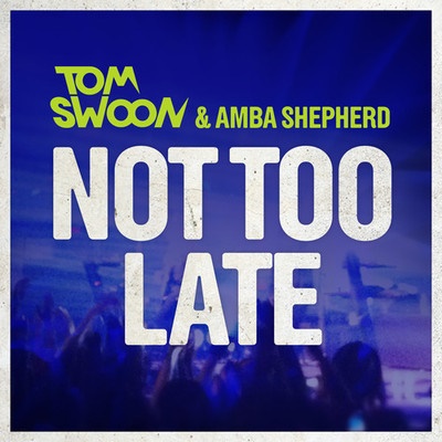 Tom Swoon (Feat Amba Shepherd)-Not Too Late (Bassnectar & PatrickReza Remix)